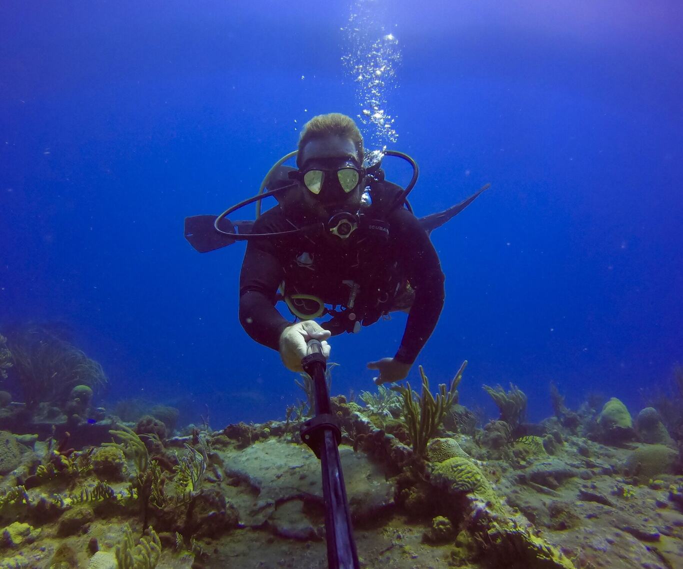 A diver over the reef, Anguilla