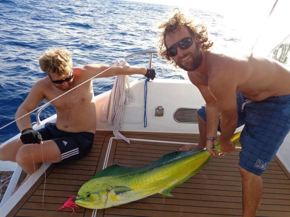 Mahi-mahi, caught trolling from the catamaran