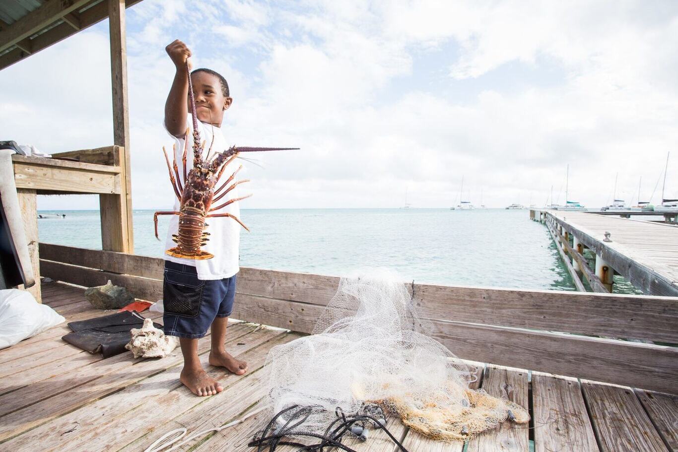 Fresh Anegada lobster