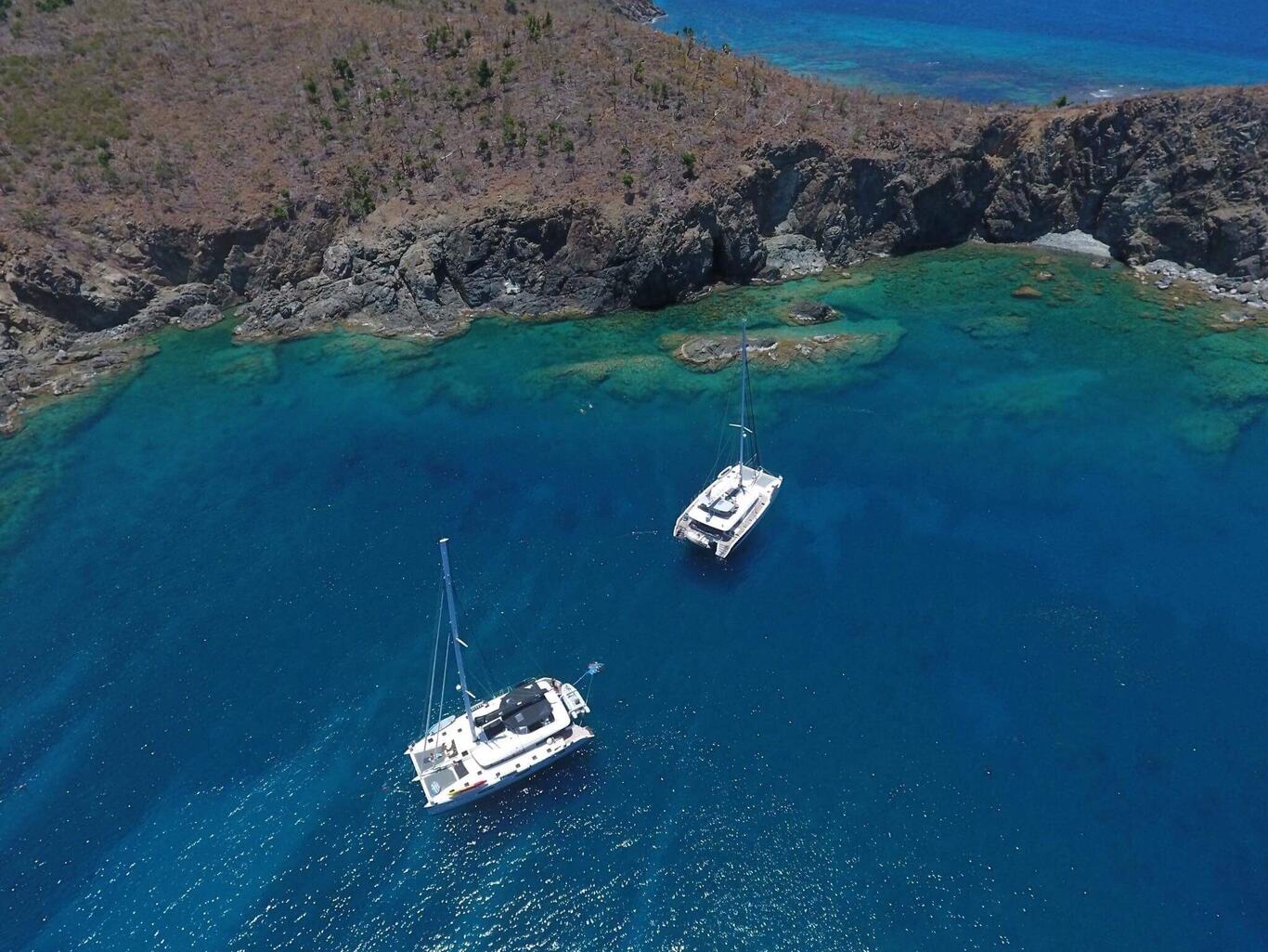 Great Dog Island