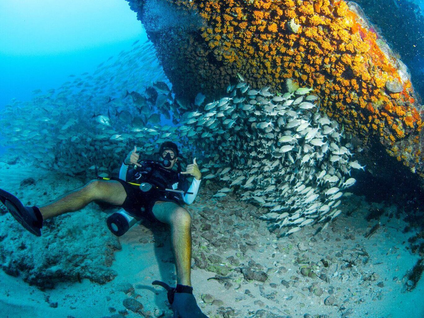Diving the Chikuzen wreck