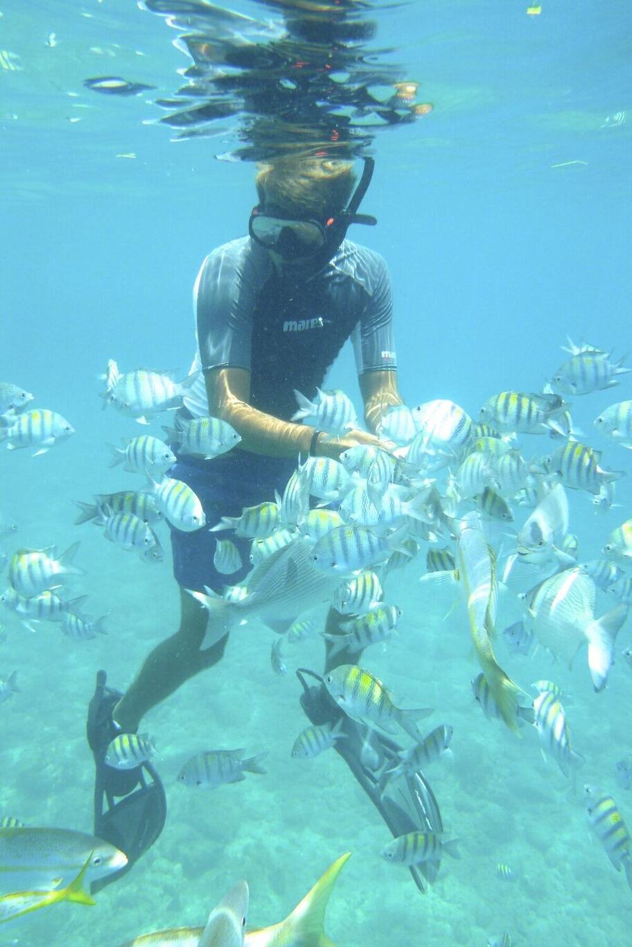 Snorkelling a tropical reef