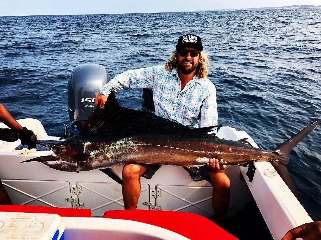 Sailfish, caught trolling