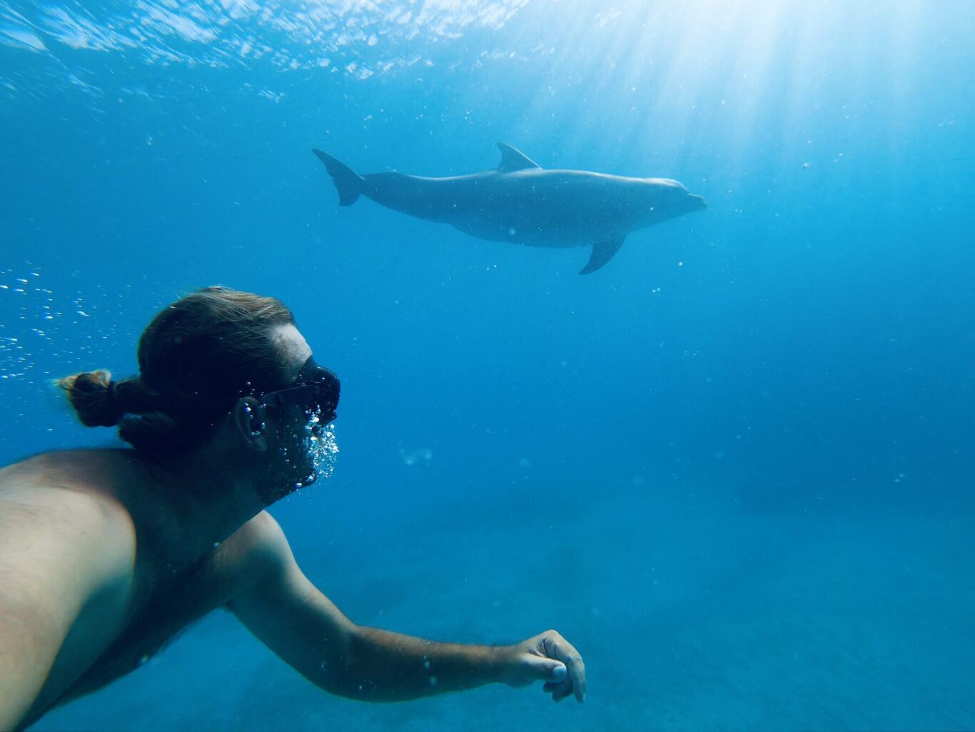 Snorkelling with a dolphin