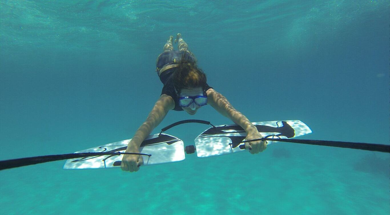 Subwing, underwater