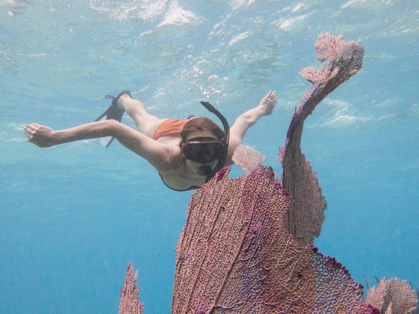 Snorkelling